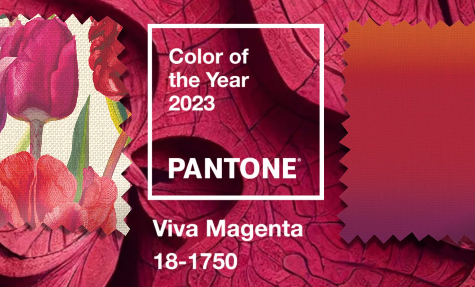 Pantone Color Of The Year 2023 Viva Magenta - BlindsOnline Blog