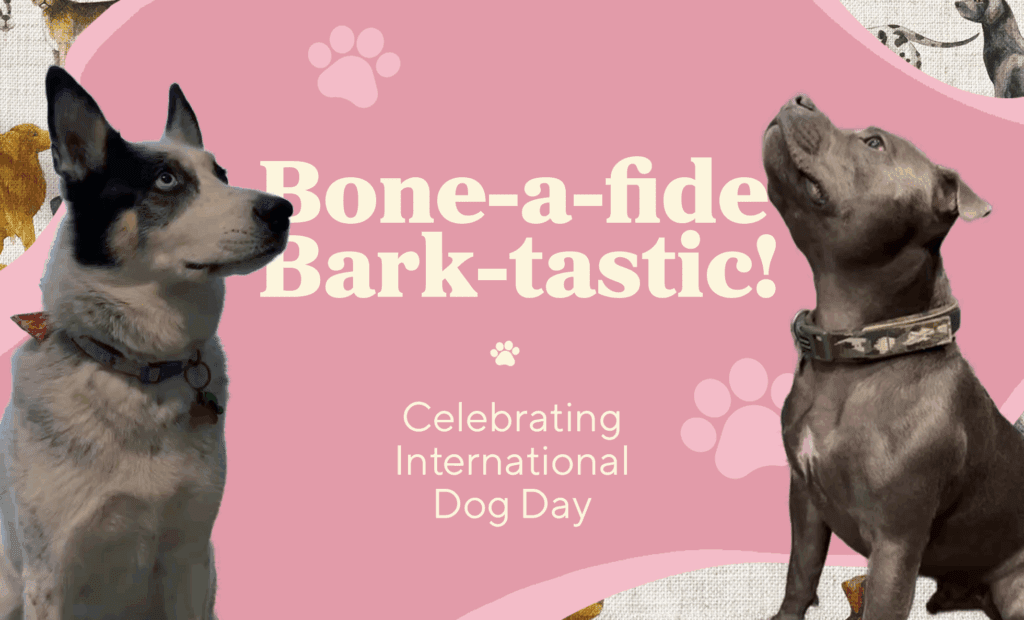 Bone-a-fide Bark-tastic! Celebrating International Dog Day