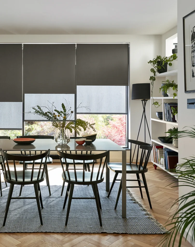 Double Roller Blinds